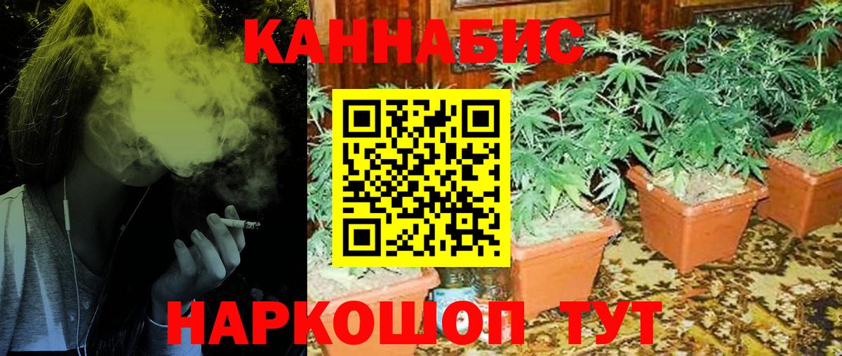 Минеральные Воды  Конопля MAZAR  Конопля индика  Вход с VPN  Бошки Шишки план 